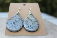 Load image into Gallery viewer, Silver Painted Desert Earrings
