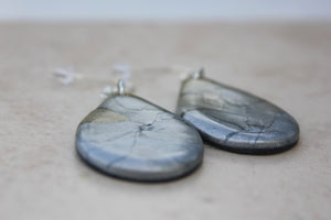 Silver Painted Desert Earrings